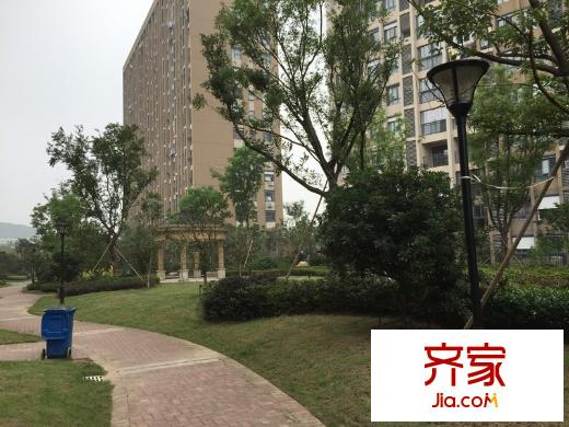 東郊小鎮(zhèn)第五街區(qū)外景圖