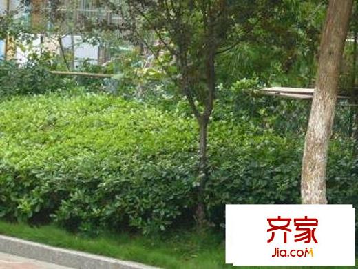 鴻達新寓外景圖