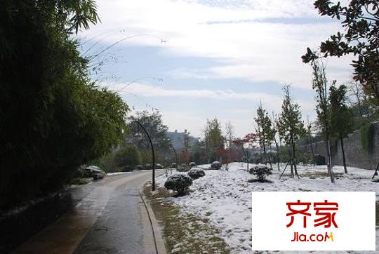 金基月亮灣外景圖月牙湖公園雪景