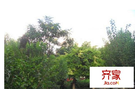 永欣新寓外景圖