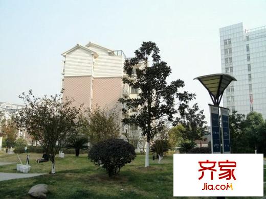 奧體新城翠杉園外景圖