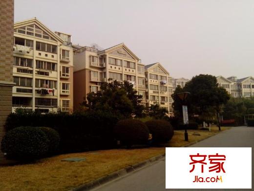 奧體新城翠杉園外景圖