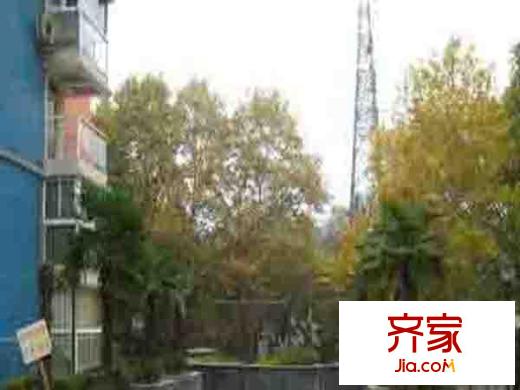 松林谷花園三期