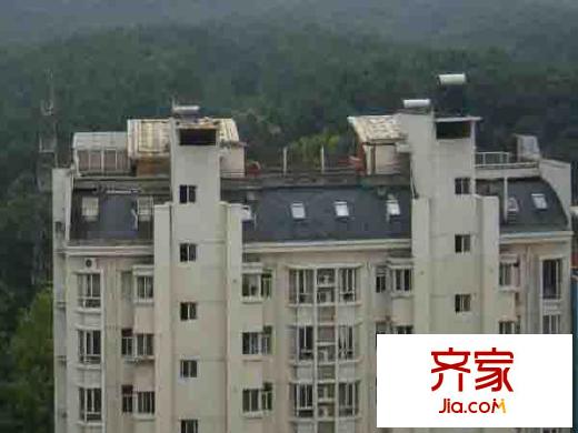 松林谷花園三期外景圖