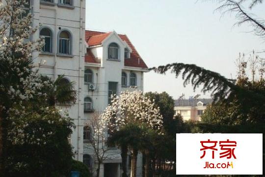 養(yǎng)龍山莊外景圖