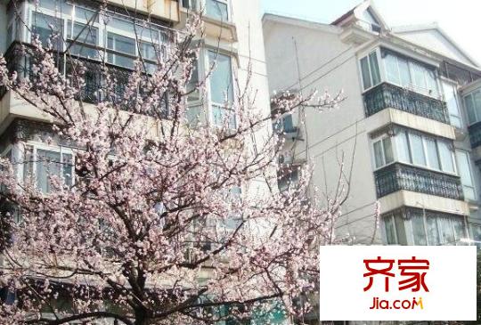 養(yǎng)龍山莊外景圖