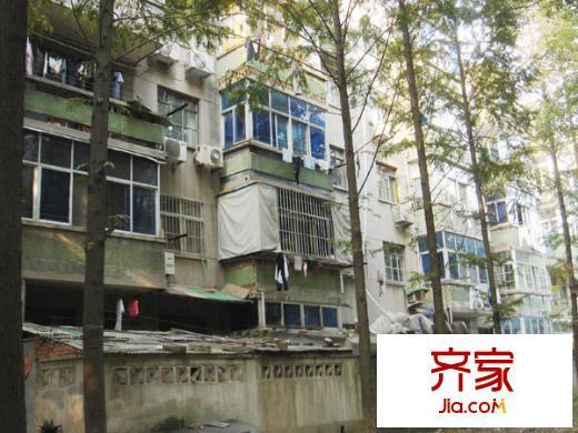蘋果都市外景圖
