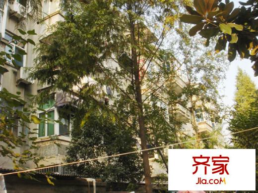 蘋果都市外景圖