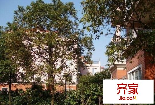 碧水華庭外景圖
