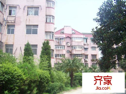 金輪第一城外景圖