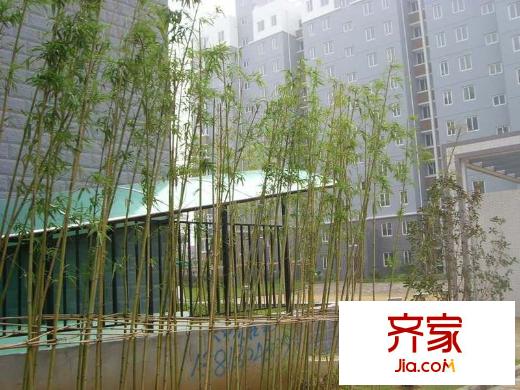 北晨雅居外景圖
