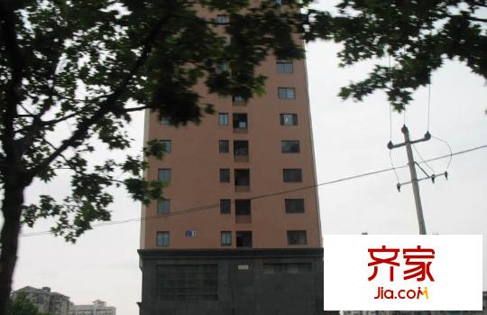 辰龍新境界