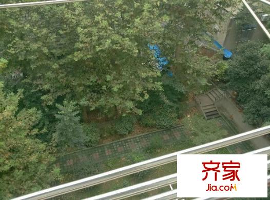 仙霞路住宅外景圖仙霞路 