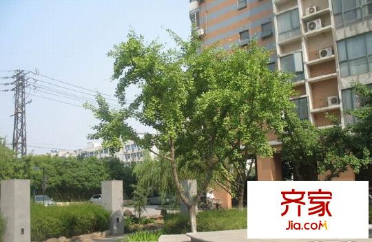 金陵御沁園外景圖