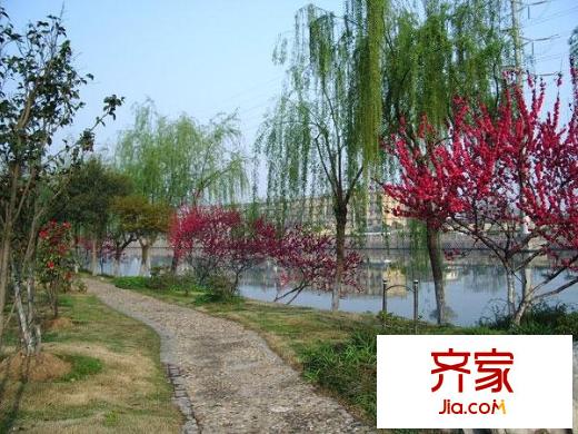 美麗新世界