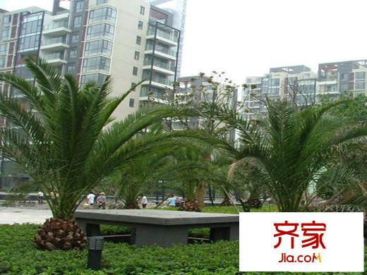 銀城寶船聽(tīng)濤外景圖