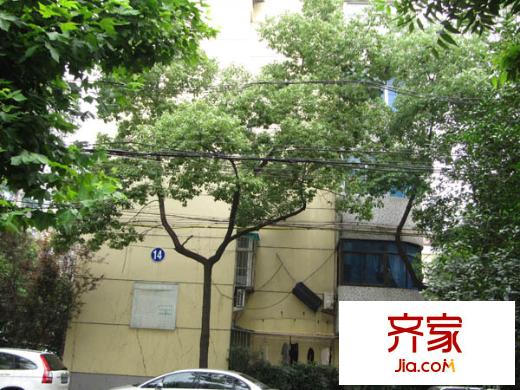 公教一村