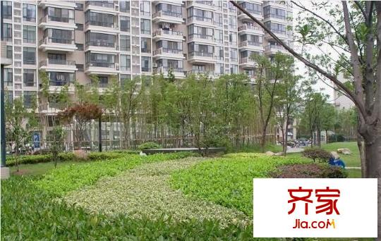 奧體新城木樨園外景圖