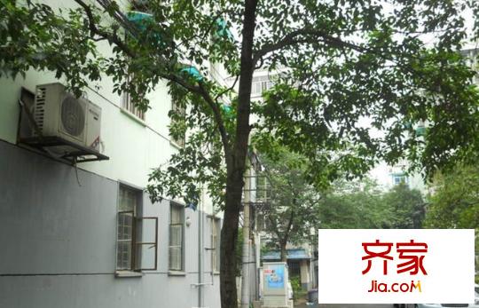 安如村外景圖
