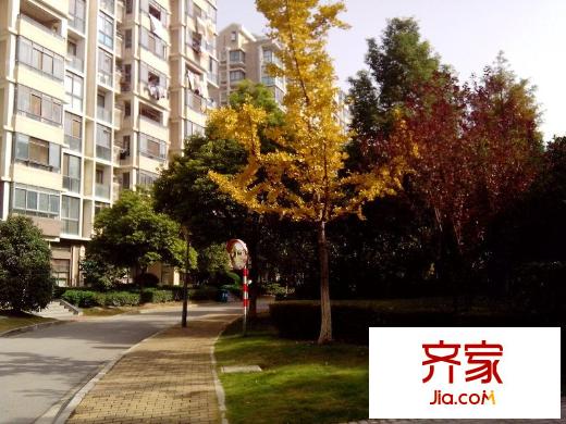 奧體新城丹楓園外景圖