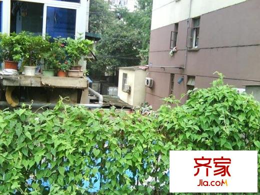 峨嵋?guī)X小區(qū)外景圖