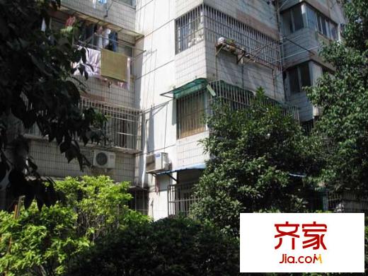牡丹里外景圖