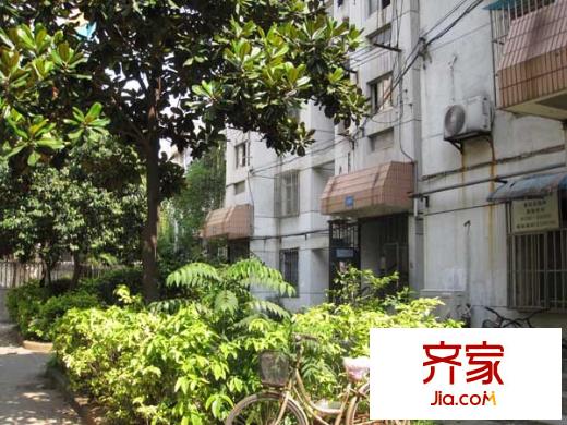 牡丹里外景圖