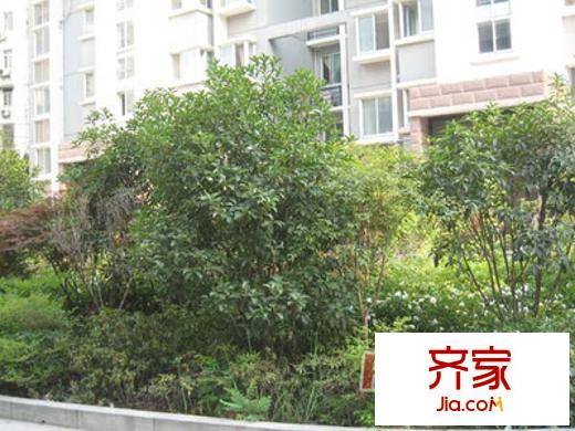 西橋花苑外景圖