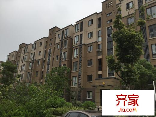 東郊小鎮(zhèn)第八街區(qū)外景圖