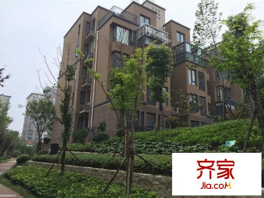 東郊小鎮(zhèn)第八街區(qū)外景圖