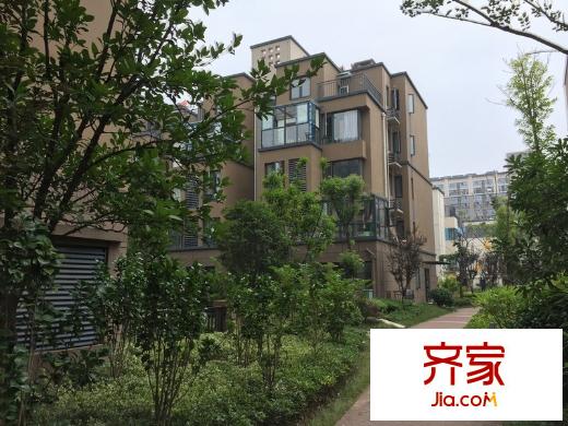東郊小鎮(zhèn)第八街區(qū)外景圖