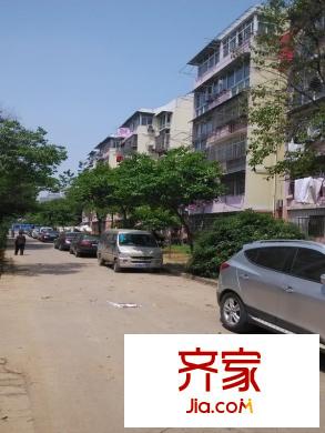 郁金香花苑外景圖