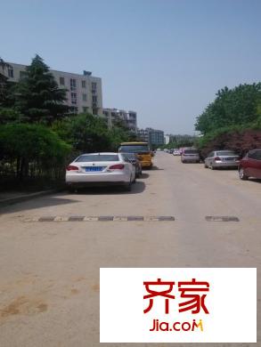 郁金香花苑外景圖