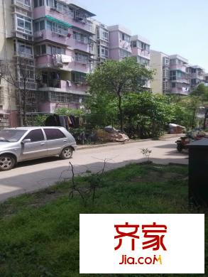 郁金香花苑外景圖