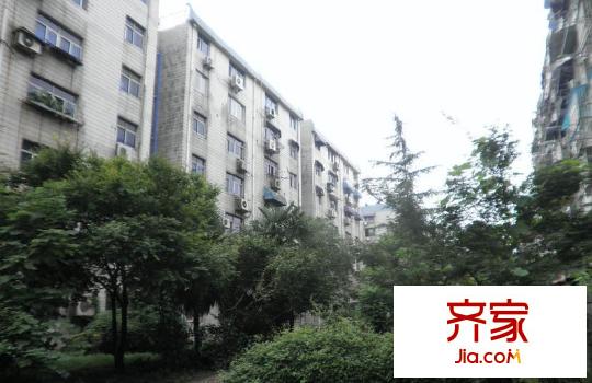 愛達(dá)花園蘭花園