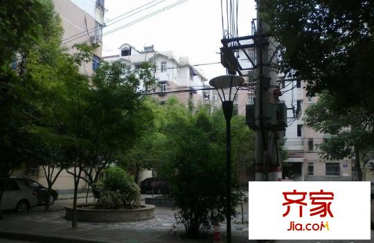露園外景圖4