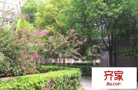 騰飛園外景圖
