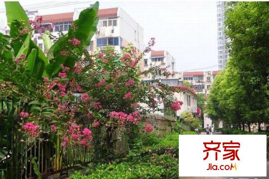 騰飛園外景圖