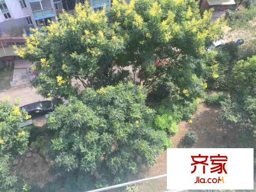 石城家園外景圖