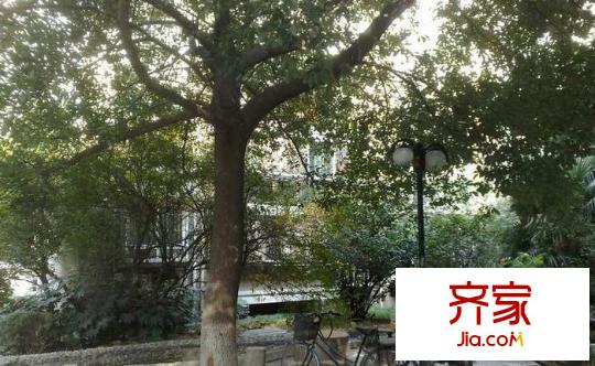 綠城花園外景圖