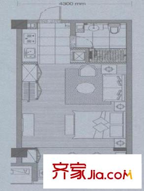 天正湖濱花園戶型圖戶型圖 1室 1室1廳1衛(wèi)1廚