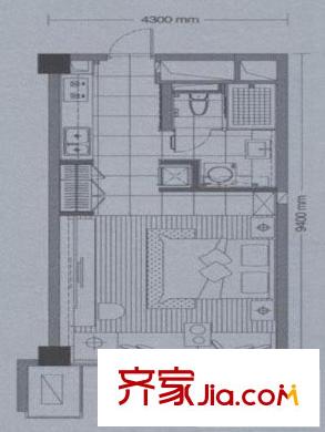 天正湖濱花園戶型圖戶型圖 1室 1室1廳1衛(wèi)1廚