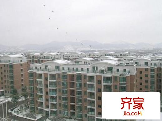 中南麒麟錦城外景圖