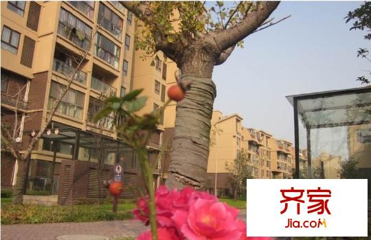 天鵝湖花園外景圖