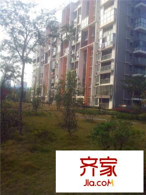 宜家國際公寓外景圖