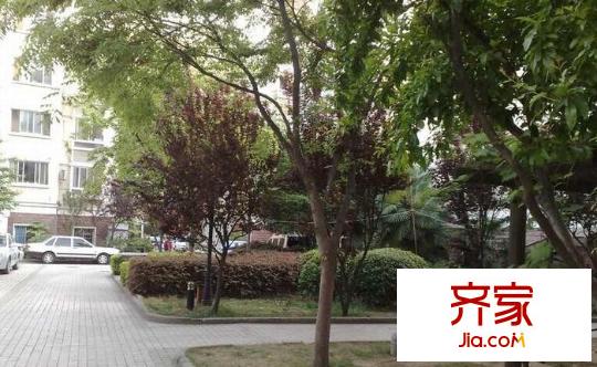 安樂村外景圖