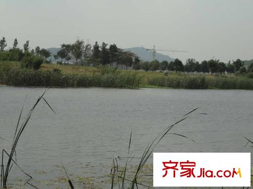 保利羅蘭香谷配套圖項(xiàng)目以南仙林湖畔