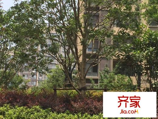 保利羅蘭香谷外景圖