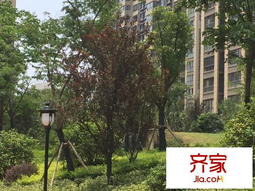 保利羅蘭香谷外景圖