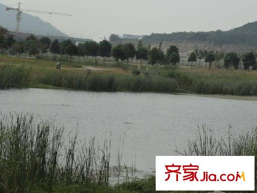 保利羅蘭香谷配套圖項(xiàng)目以南仙林湖岸邊